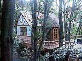 treehouse